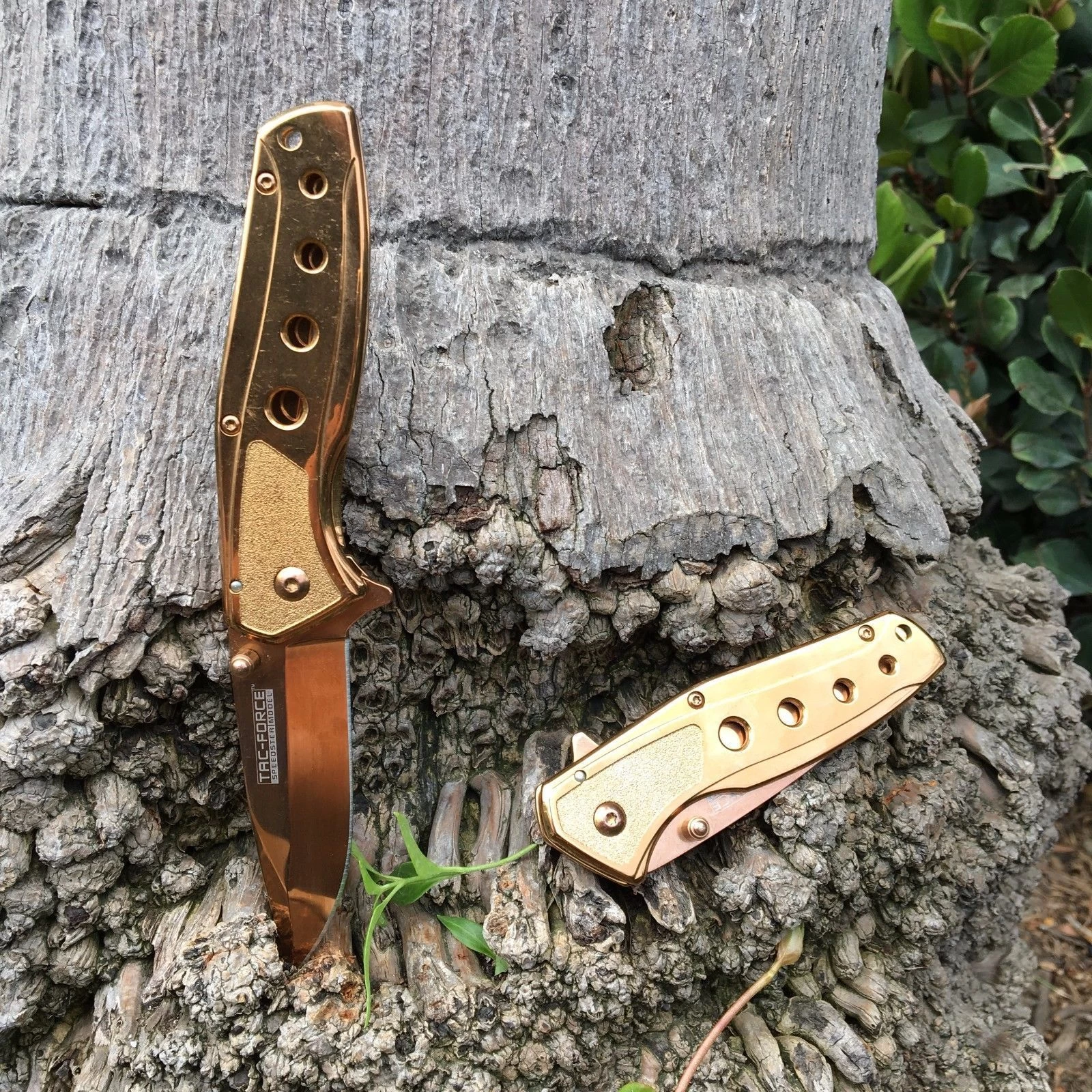 7" Tac Force Rose Gold Folding Pocket Knife (TF-926RG) - Image 3